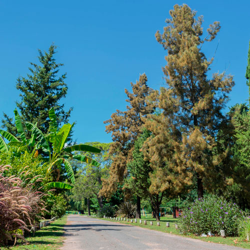 Entrada del campo de Deporte