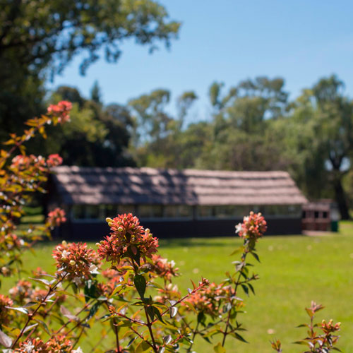 Imagen de quincho de fondo con parque